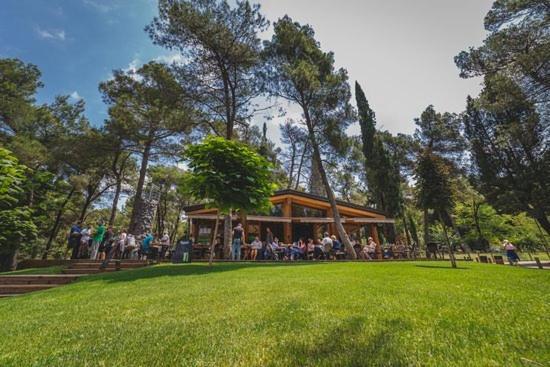 Gallery Daire Podgoriçe